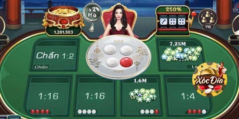 Cách chơi xóc đĩa với các cửa cược phổ biến